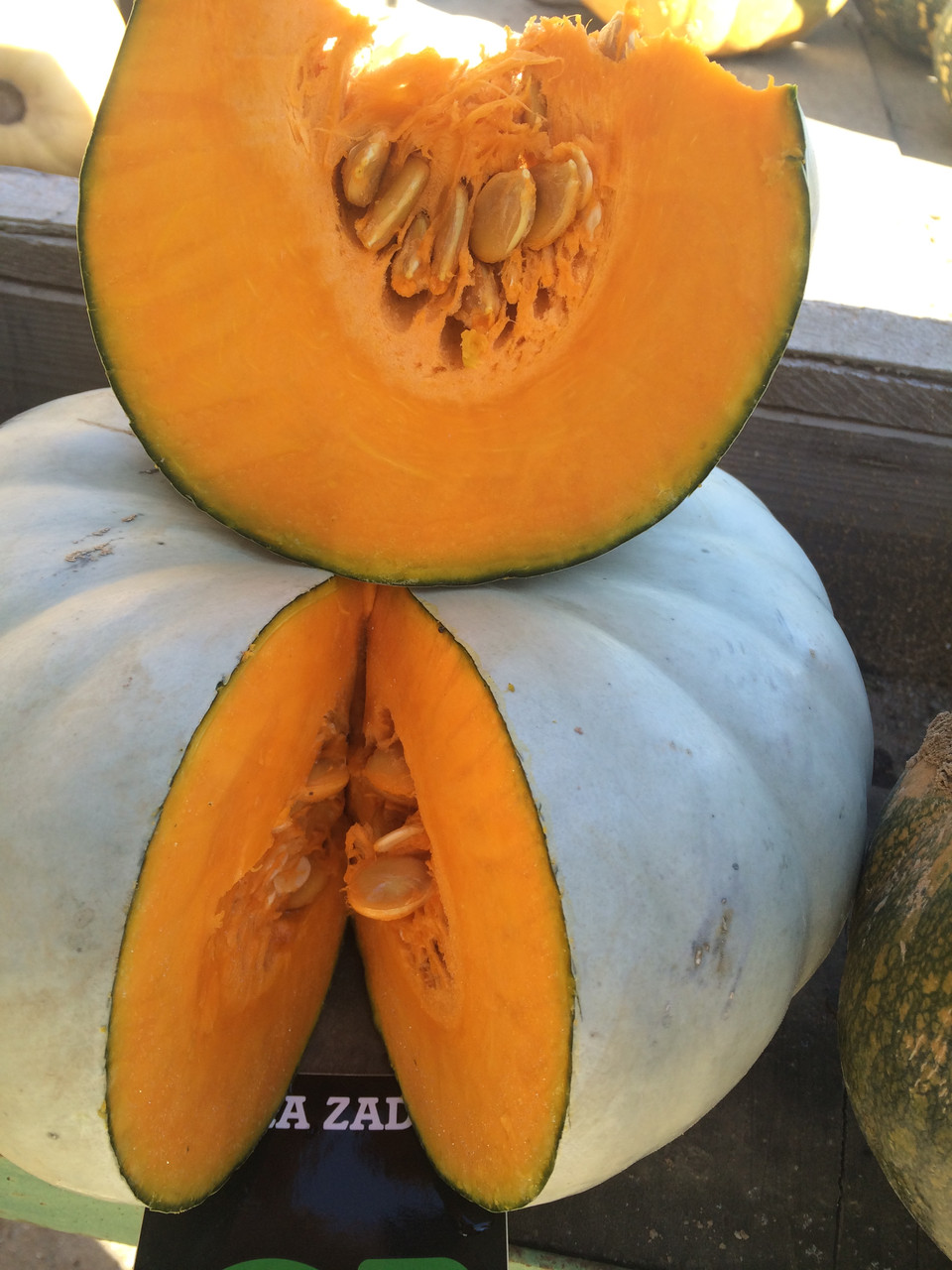 Сампсон F1 / Sampson F1 - ґарбуз, 500 насінин, Enza Zaden