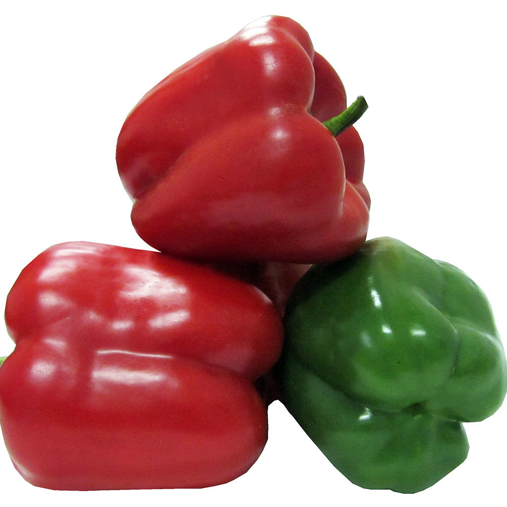 Геркулес F1 / Hercules F1 - насіння перцю кубовидного, 50 грам, Clause