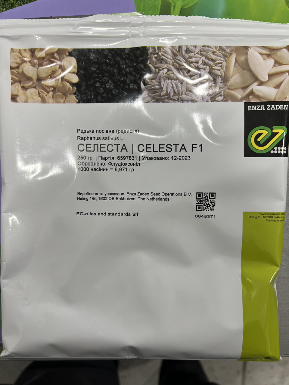 Селеста F1 / Сelesta F1 - насіння редису, 250 гр, Enza Zaden