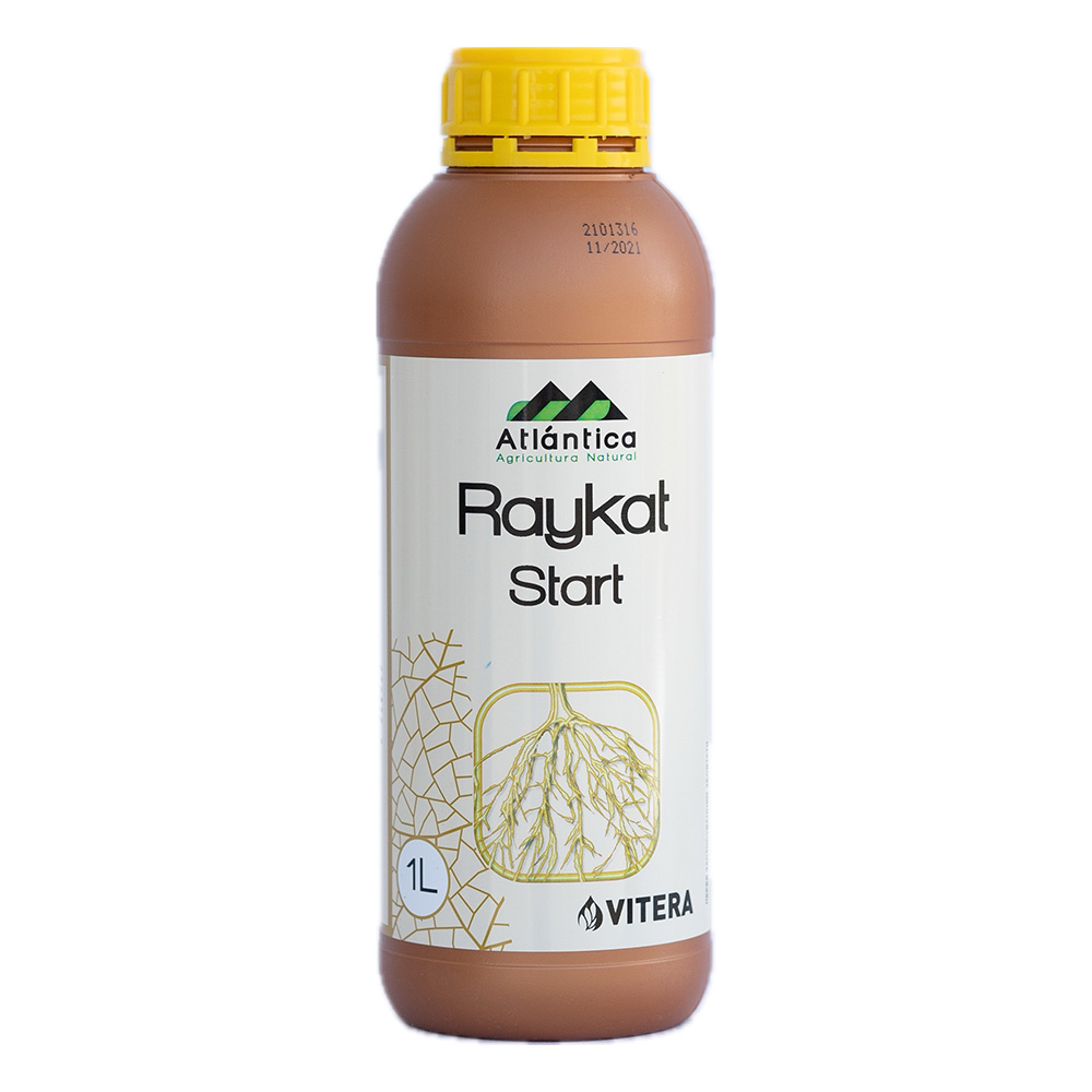 Райкат Старт, Raykat Start - cтимулятор росту, Atlantica