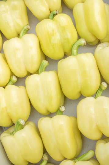 Бурабелла F1 - перець кубовидний, 1000 насінин, Rijk Zwaan