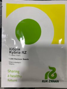 Кібрія F1, Kybria F1 - огірок, 250 насінин, Rijk Zwaan