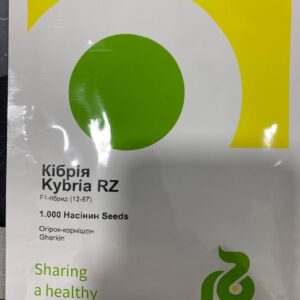 Кібрія F1, Kybria F1 - огірок, 250 насінин, Rijk Zwaan