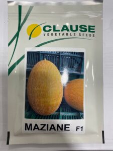 Мазін F1 - диня, 5000 насінин, Clause