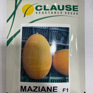 Мазін F1 - диня, 5000 насінин, Clause