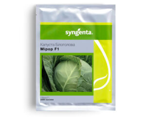 Мірор F1 - капуста білоголова, 2 500 насінин, Syngenta
