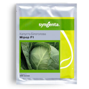 Мірор F1 - капуста білоголова, 2 500 насінин, Syngenta