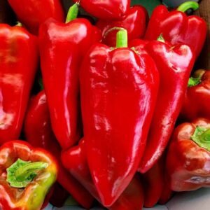 Каптур F1, Kaptyr F1 - солодкий перець, 500 насінин, Semenis