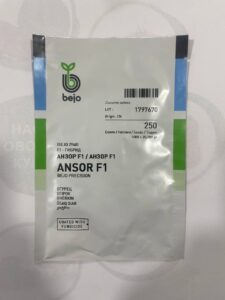 Анзор F1, Ansor F1 - огірок, 250 насінин, Bejo