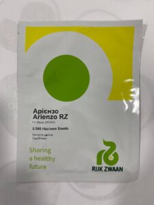АРІЄНЗО F1, ARIENZO F1 - капуста цвітна, 2500 насінин, Rijk Zwaan