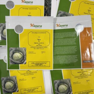 ТАЙСОН F1, TAYSON F1 - капуста білоголова, 2500 насінин, Hazera