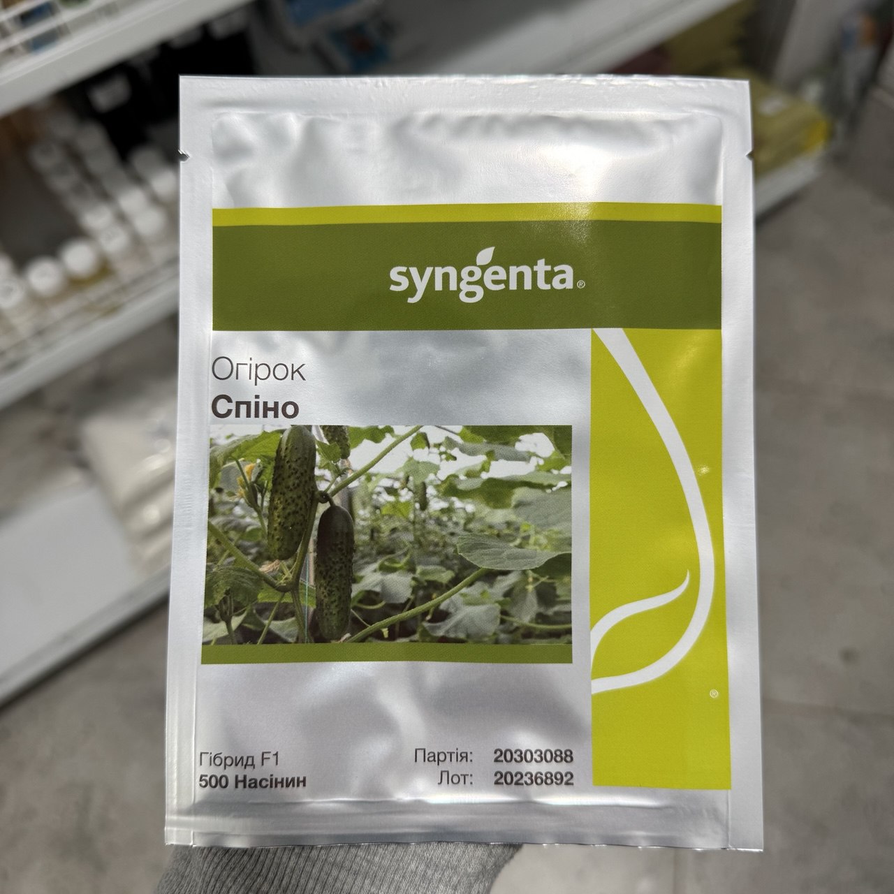 Спіно F1 - огірок партенокарпічний, 500 насінин, Syngenta
