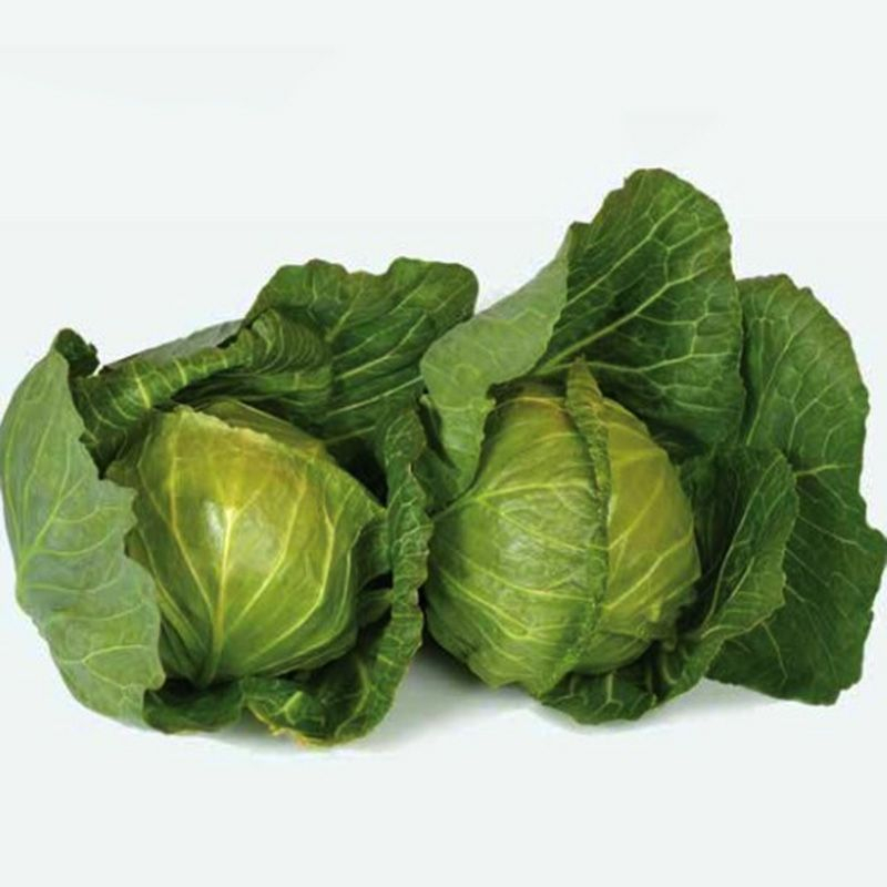 Лауда F1, Lauda F1 - білоголова капуста, 2 500 насінин, Syngenta