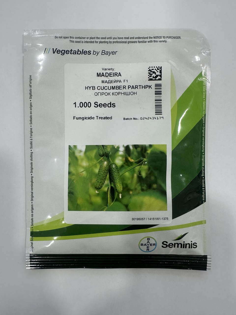 Мадейра F1, Madeira F1 - огірок партенокарпічний, 1000 насінин, Seminis