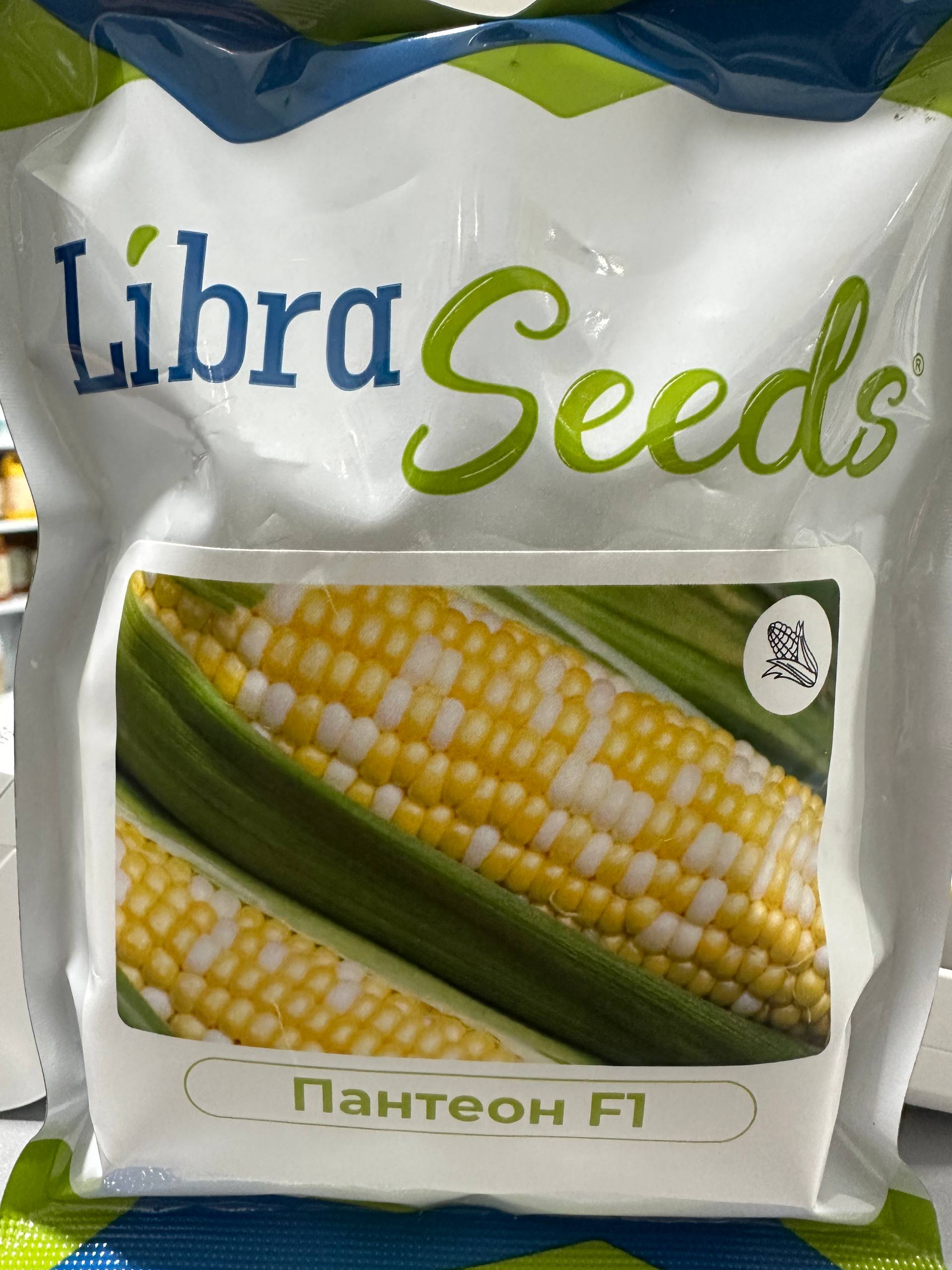 Пантеон F1, Panteon F1 - кукурудза, 1000 насінин, Libra Seeds